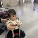 김해터미널쇼핑센터 | 여행!!!6박7일(아기랑 부모님과 함께 대가족여행,김해공항허브라운지, 숙소정보,환전정보,맘마밀 반입...