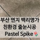 백리명가오피스텔 | 부산 연지 백리명가 구축 줄눈 시공 후기 - 파스텔 스파이크