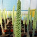 행복농장 5 이미지