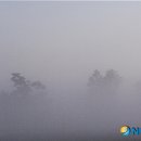 심안경원 이미지