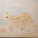 제주도 2025가을일기 25. 강박은 무강박보다 백번 낫다! 이미지