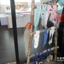아모르페루아노 이미지