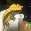 잭슨PC방 이미지