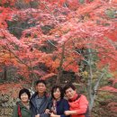 대둔산장 이미지