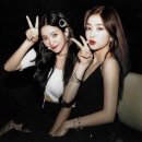 로제조이 이미지