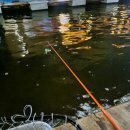 힐링낚시까페 | 아이들과 함께한 이색 체험, 천안 러브낚시카페 방문 후기!