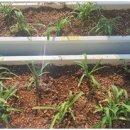 광원농장 이미지