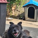 제주도조용한게스트하우스산방산 이미지