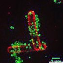 학생슈퍼 이미지