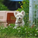 꽃개미용실 이미지