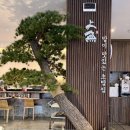 센텀5로 | 해운대 센텀 맛집 상무초밥 점심특선 후기, 구성 좋은 가성비 초밥집