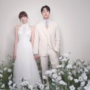 더 해밀 이미지