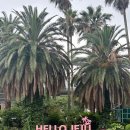 애향목장 이미지