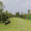 용인시민 체육센터(도시공사) | 경기도 파크골프장 리스트 (8편)양주·동두천·화성 동탄 코스 가이드