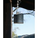 산온 | Nikon Zf - 안동 [ 산온 리트릿 ]