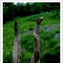 구와우농장 이미지