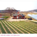 정자나무집 이미지