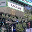 강촌세탁소 | 1st 발라 페스티벌 발라당, 후기 엘리시안 강촌