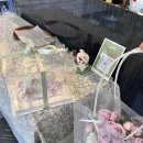 서초대로29길 15 이미지