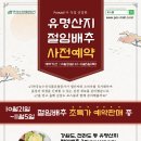 배추몰