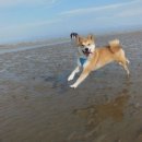 여수밤바다 펜션 이미지