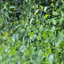 한덕농장 이미지