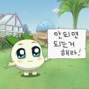 별밤이야기 | 구디 블랙파티 + 구디별밤 간 일기