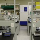 새신한목장 이미지