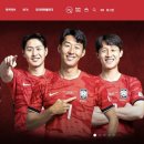 한국이미지시스템(주) 더피알