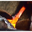 포일농장 이미지