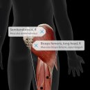 애슬레틱 서래 이미지