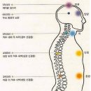 신경총(차크라) 이미지