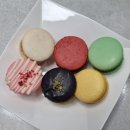 선부광장 | [안산]마카롱 선부동 수제디저트 맛집 안산 마카롱추천 선부광장 디저트 카니롱*내돈내산*