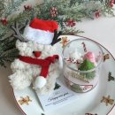 대구경북과학기술원 | 투안느 DIGIST 대구경북 과학기술원 출강기록 (1) - 🌲🕯️크리스마스 캔들