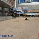 동산초등학교 이미지