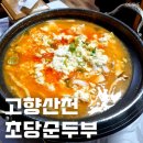고향마을 | 강릉 초당마을 순두부전골 고향산천초당순두부 내돈내산 다녀온 후기