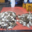 장한말길 이미지