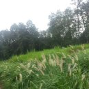 가을 숲으로 가자 이미지