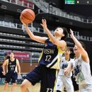 임진체육관 이미지