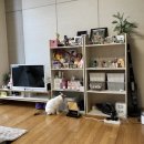 (주)주엔 이미지