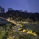 밤빛 (주)경기 타임스
