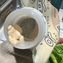 THE FIT | 잇더핏 Eat the fit 단백질쉐이크 후기, 잇더핏 곡물맛 grain맛