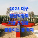 도시철도 3호선 만평역 | 2025 대구 정원 박람회, 가을 도심을 물들이는 꽃 축제