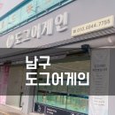 도그어게인 이미지