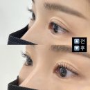 미사눈썹 에스터치 브로우 속눈썹펌 만족후기
