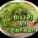 미나리 꼭 익혀 드세요!! 이미지