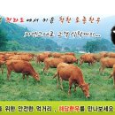 건우축산 이미지