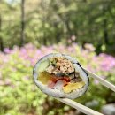 왕가네김밥