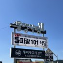 동피랑사람들 | [경남/통영] 동피랑 골목 따라 걷다 발견한 &#34;동피랑 101&#34; 내돈내산 솔직후기🐟