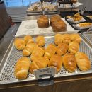 엔젤베이커리 | 별내 "메리 베이커리" 방문후기/엔젤쉬폰 화이트크림롤 감탄이 절로 나온 빵 맛집